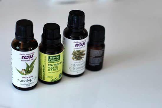Can you get fungus on your scalp?